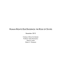human rights due diligence: the role of states