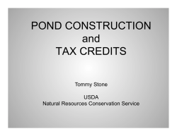 POND CONSTRUCTION _ Tommy Stone