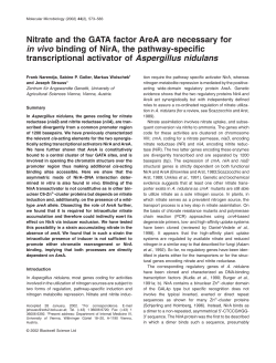 Nitrate and the GATA factor AreA are necessary for