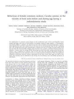 Behaviour of female common cuckoos, Cuculus canorus, in the