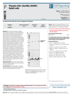 90178 - Cell Signaling Technology