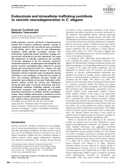 Endocytosis and intracellular trafficking contribute to necrotic