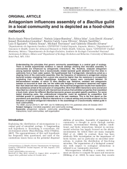 Antagonism influences assembly of a Bacillus guild in a