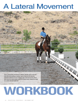 Haunches In - Volker Brommann