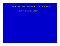 GEOLOGY OF THE WORLD`S OCEANS
