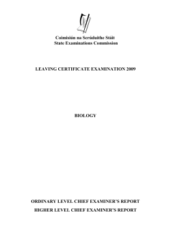 Chief Examiner`s Report 2009