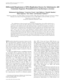 Differential Requirement of DNA Replication Factors for