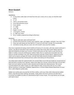 Bison Goulash - Ponca Tribe of Nebraska