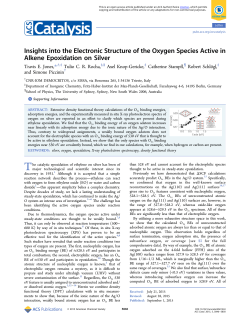 Insights into the Electronic Structure of the Oxygen Species Active in