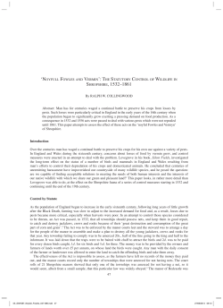 Document