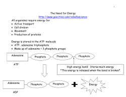Chapter 9: The Need for Energy