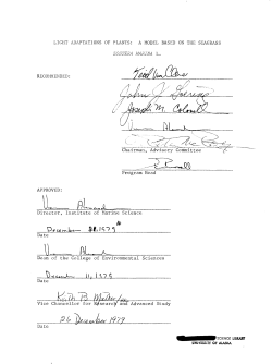 LIGHT ADAPTATIONS OF PLANTS: A MODEL BASED ON THE
