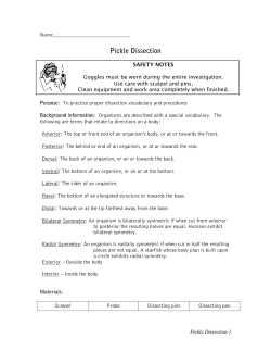 Pickle Dissection - Science