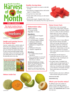 melons
