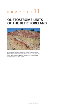 olistostrome units of the betic foreland