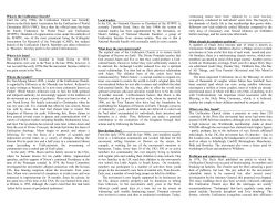 PDF on The Unification Church