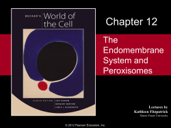 Chapter 10 - Warner Pacific College