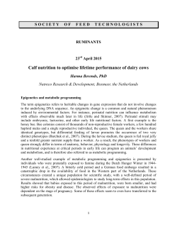 Calf nutrition to optimise lifetime performance of