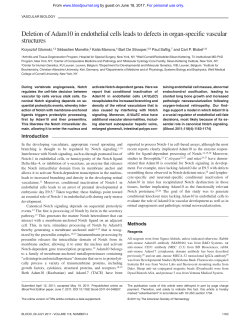 Deletion of Adam10 in endothelial cells leads to