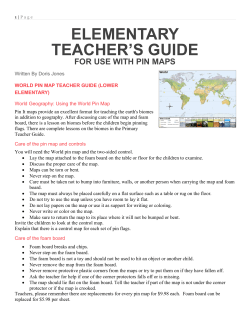 elementary teacher`s guide