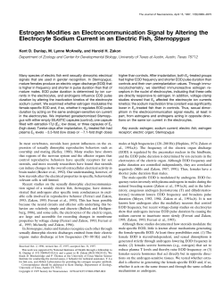 Estrogen Modifies an Electrocommunication Signal by Altering the