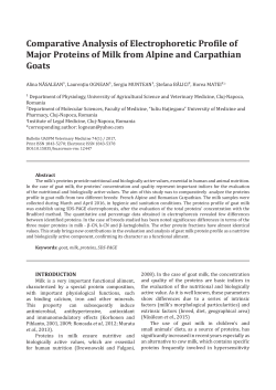 Comparative Analysis of Electrophoretic Profile of Major Proteins of