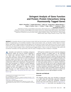 Stringent Analysis of Gene Function and Protein