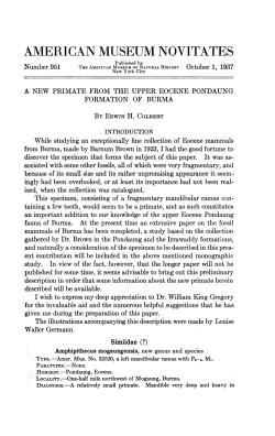 american museum novitates - AMNH Library Digital Repository