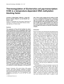 Thermoregulation of Escherichia coli pap transcription: H