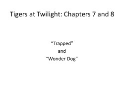 Tigers ch 7 and 8 pdf