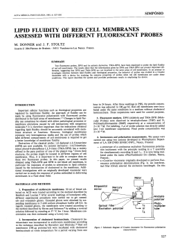 lipid fluidity of red cell membranes assessed with different