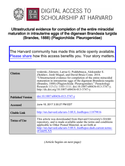 Full Text - Harvard University