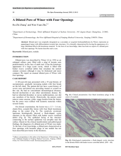 A Dilated Pore of Winer with Four Openings