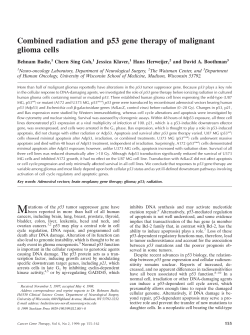 Combined radiation and p53 gene therapy of malignant glioma cells