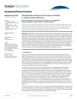Phytoplankton plasticity drives large variability in carbon fixation