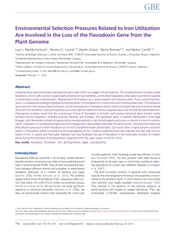 Environmental Selection Pressures Related to Iron Utilization Are
