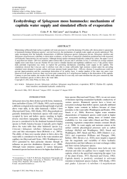 Ecohydrology of Sphagnum moss hummocks: mechanisms