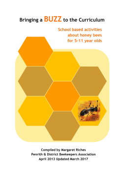 Bringing a BUZZ to the Curriculum