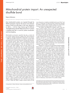 Mitochondrial protein import: An unexpected disulfide bond