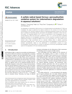 A sulfate radical based ferrous&ndash;peroxydisulfate