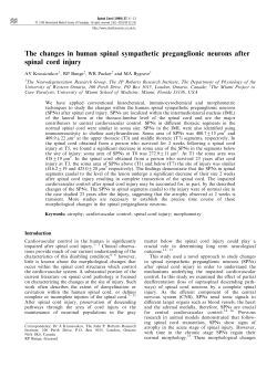 The changes in human spinal sympathetic preganglionic
