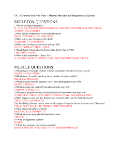 SKELETON QUESTIONS MUSCLE QUESTIONS