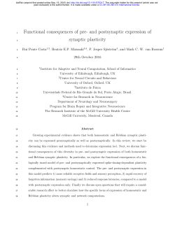 Functional consequences of pre- and postsynaptic