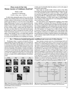 Homo erectusin East Asia: Human Ancestor or