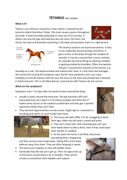 TETANUS Aka Lockjaw What is it? Tetanus is an infection caused by