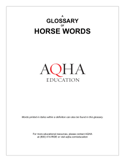 horse words - Rideability