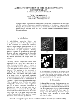 automatic detection of cell division intensity in budding yeast1