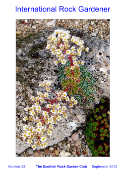 International Rock Gardener - the Scottish Rock Garden Club