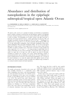 Abundance and distribution of nanoplankton in
