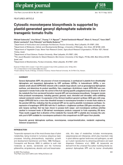 Cytosolic monoterpene biosynthesis is supported by